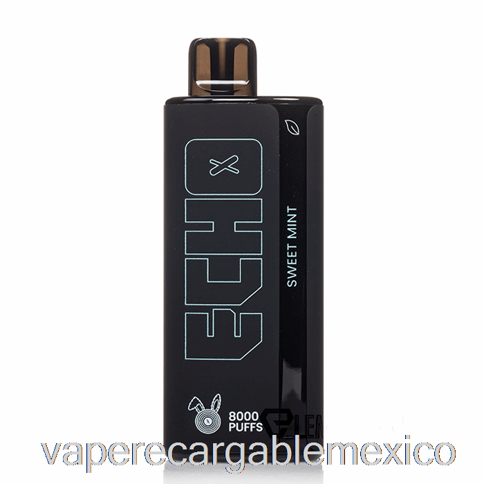 Vape Recargable Echo 8000 Desechable Dulce Menta